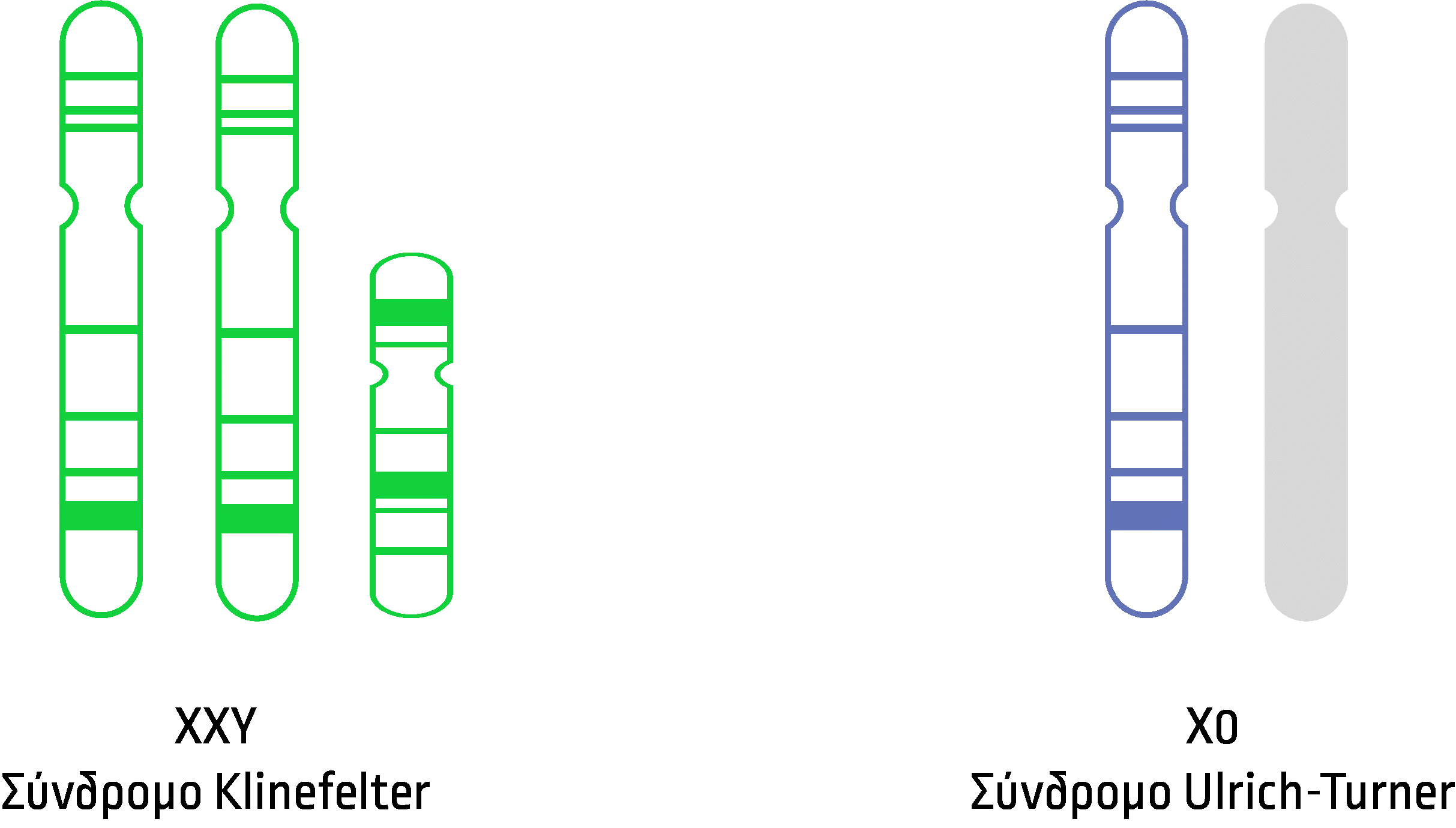 Πληροφορίες για τις χρωμοσωμικές διαταραχές των Χ/Υ